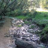 0409F 05 Emsursprung